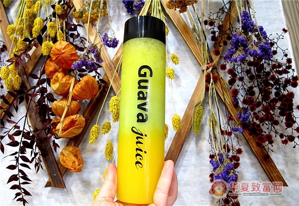guava juice芭乐芭加盟